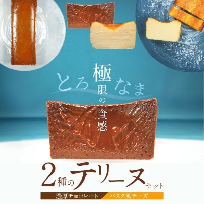 【テリーヌ専門店L】(約200g)濃厚チョコレート・バスク風チーズのテリーヌセット H173-012