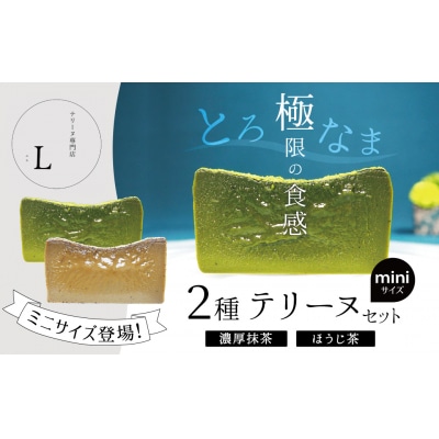 【テリーヌ専門店L】ミニサイズ濃厚抹茶・ほうじ茶2種のテリーヌセット H173-013