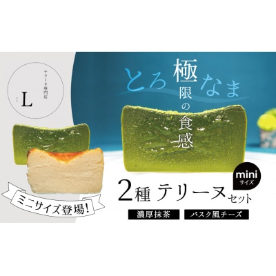 【テリーヌ専門店L】ミニサイズ濃厚抹茶・バスク風チーズ2種のテリーヌセット H173-014