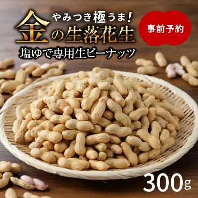 【2026年発送】事前予約 “金の生落花生” 300g 生ピーナッツ 塩ゆで専用　H105-194