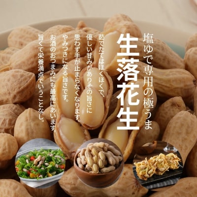 【2026年発送】事前予約 “金の生落花生” 1.5kg(500g×3袋) 塩ゆで　H105-142