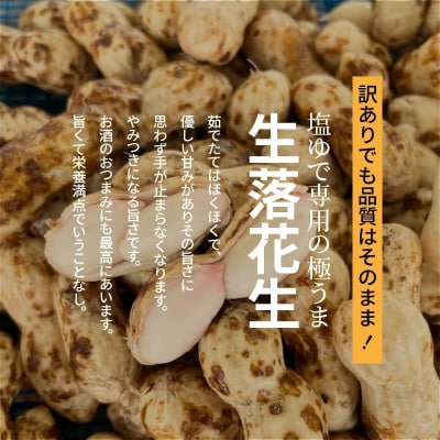 【2026年発送】 訳あり  “金の生落花生” 塩ゆで 2kg(500g×4袋) H105-144