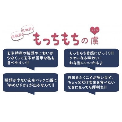 【24回定期　玄米パックご飯】北海道産ゆめぴりか 150g×24個 やわらかい玄米　H074-682