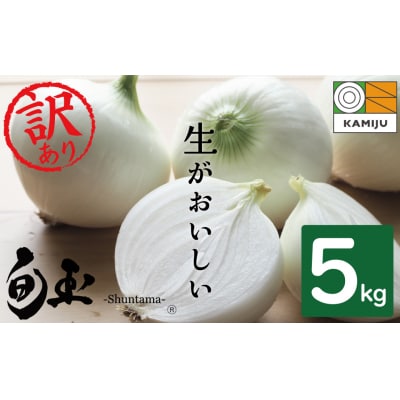 【2026年発送】訳あり新玉ねぎ神重農産のブランド玉ねぎ「旬玉」5kg H105-153