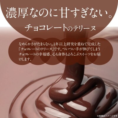 【テリーヌ専門店L】(約200g)濃厚チョコレートのテリーヌ H173-042