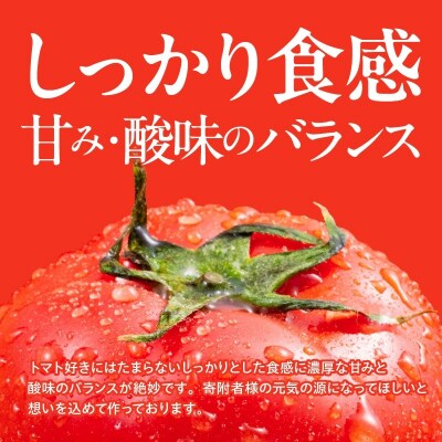 期間限定!プレミアムフルーツトマト 約1.4kg H004-175