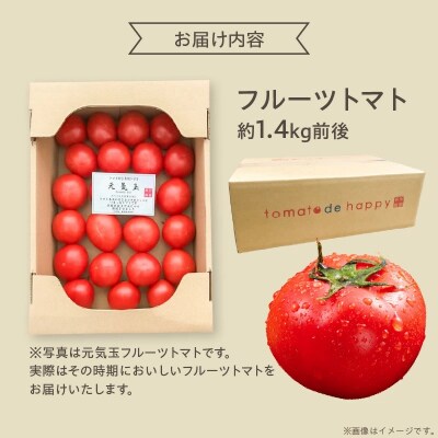 【2026年度事前受付】期間限定!プレミアムフルーツトマト 約1.4kg H004-213