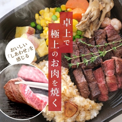 おもいの鉄板スクエア《頂-ITADAKI-》電気卓上コンロ 2WAY調理器 H051-245