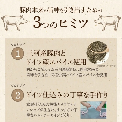 【2022年国際品評会で金賞受賞!】ポークジャーキー 75g×3袋 H003-045