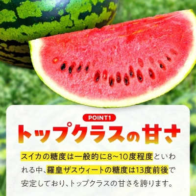 〈予約受付〉【2027年発送】深いコク感とシャリ感のスイカ「羅皇ザスウィート」1玉 H141-015