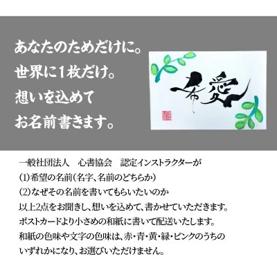 【世界にたったひとつの贈り物シリーズ】 筆文字 名前カード(額なし) H144-014
