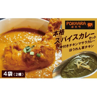【レンジで簡単】本格スパイスカレー2種4袋セット H177-014
