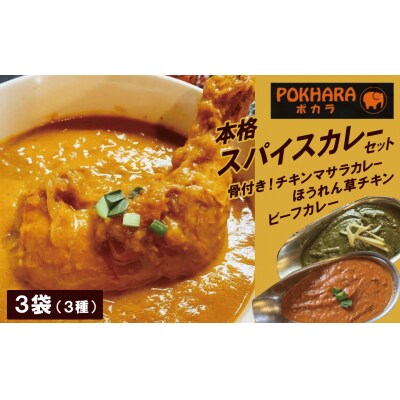 【レンジで簡単】本格スパイスカレー3種3袋セット H177-015