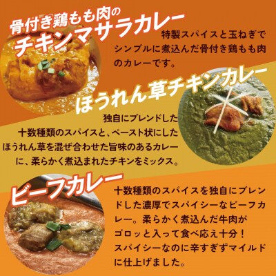 【レンジで簡単】本格スパイスカレー3種3袋セット H177-015