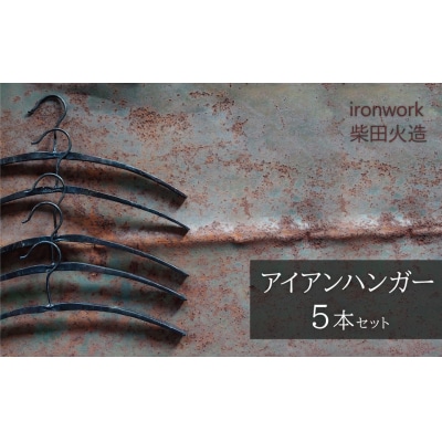 アイアンハンガー【5本セット】 H182-006 