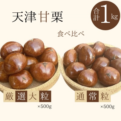 新栗(予約受付)この道50年の職人が焼く、「厳選大粒と通常サイズ」合計1kg H045-063
