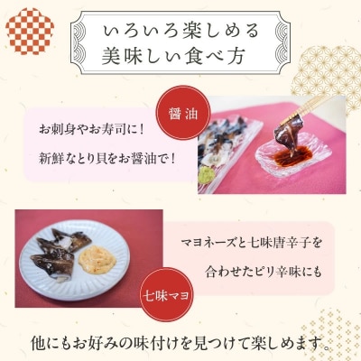 【訳あり　数量限定】三河産 天然とり貝 100g×1パック　H018-049