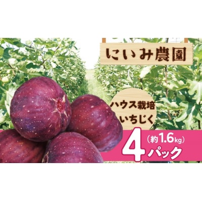 【ハウス栽培】朝もぎ フレッシュな完熟いちじく 碧南市 にいみ農園　 H031-006