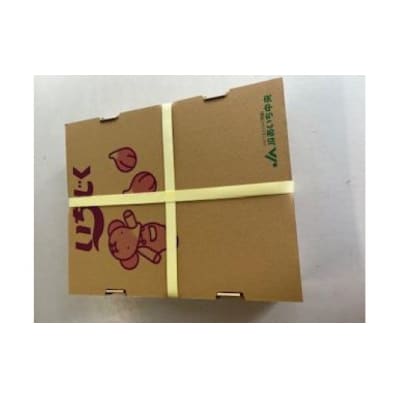 【ハウス栽培】朝もぎ フレッシュな完熟いちじく 碧南市 にいみ農園　 H031-006