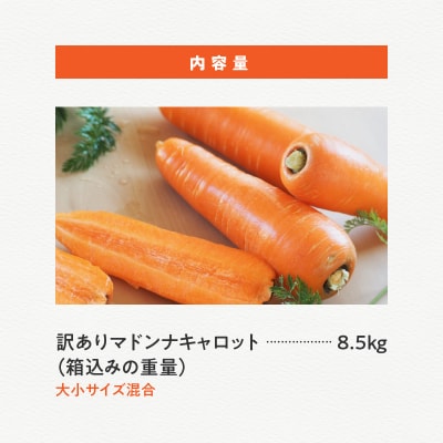 (TVで紹介)【福箱★2026】訳ありマドンナキャロット8.5kg H105-168