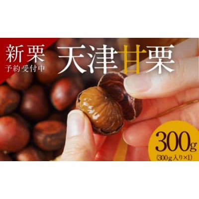 新栗(予約受付)【お試し】この道50年の職人が焼く、「天津甘栗」300g! H045-068