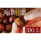 【旬限定の定期便】【新栗】( 先行予約 ) 甘みたっぷりの「天津甘栗」300g!　H045-070