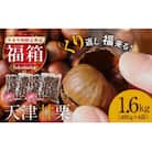 【福箱★2026】【くり返し福来る!】やさしい甘みたっぷり「天津甘栗」1.6kg H045-067