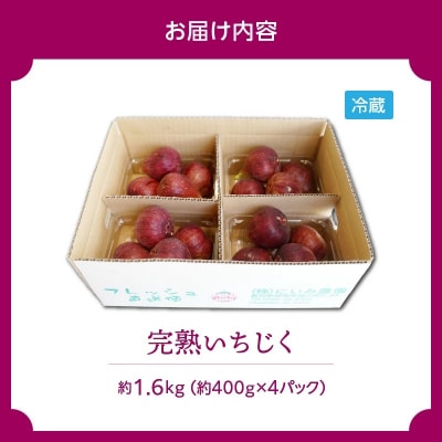 【露地栽培】朝もぎ フレッシュな完熟いちじく　H031-007