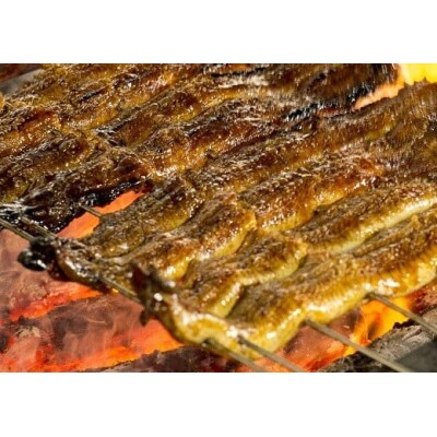 今だけ肝焼き1パック付き<冬の土用丑・年末年始> 三河一色産うなぎの炭火焼 3尾　H007-110