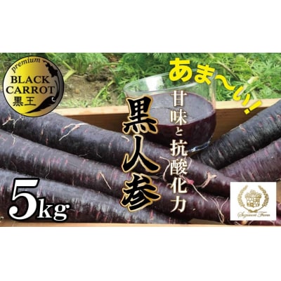 【期間限定】おどろきの甘さと抗酸化力!　黒人参『黒王』5Kg　H022-014