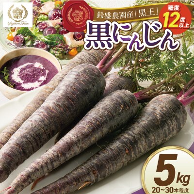 〈予約受付〉【期間限定】おどろきの甘さと抗酸化力!　黒人参『黒王』5Kg　H022-014