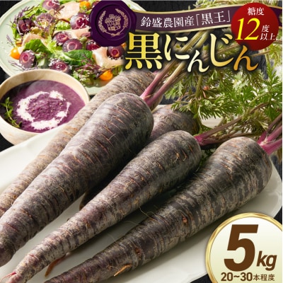 〈予約受付〉【期間限定】おどろきの甘さと抗酸化力!　黒人参『黒王』5Kg　H022-014