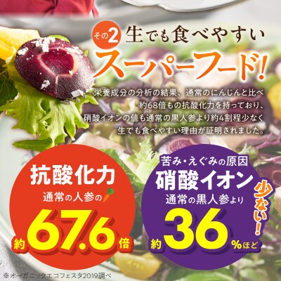 〈予約受付〉【期間限定】おどろきの甘さと抗酸化力!　黒人参『黒王』5Kg　H022-014