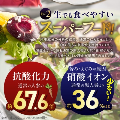 〈予約受付〉【期間限定】おどろきの甘さと抗酸化力!　黒人参『黒王』5Kg　H022-014