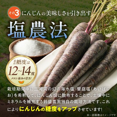〈予約受付〉【期間限定】おどろきの甘さと抗酸化力!　黒人参『黒王』5Kg　H022-014