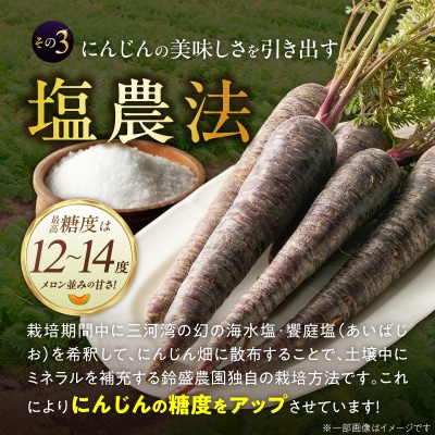 〈予約受付〉【期間限定】おどろきの甘さと抗酸化力!　黒人参『黒王』5Kg　H022-014