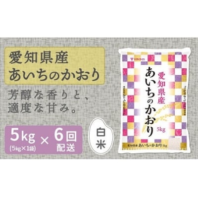 愛知県産あいちのかおり 5kg ※6回定期便　米　安心安全なヤマトライス　H074-692