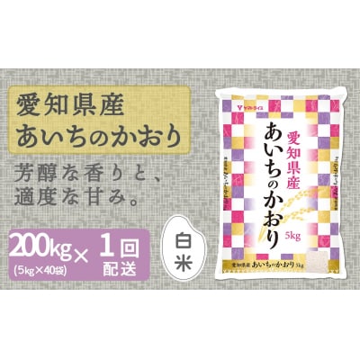 【精米】愛知県産あいちのかおり 200kg(5kg×40袋)　ごはん　国産　H074-696