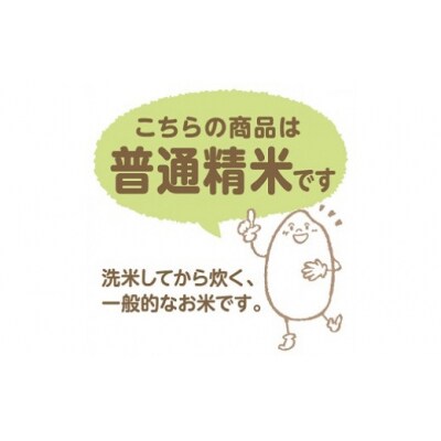 【精米】愛知県産あいちのかおり 200kg(5kg×40袋)　ごはん　国産　H074-696