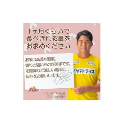 愛知県産コシヒカリ 10kg(5kg×2袋)　※定期便6回　国産 精米 10キロ　H074-698