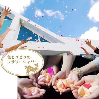 〈日付指定も可能〉ローズインにゅーよーくミックス50輪 バラ50輪詰め合わせ　お花　H193-022