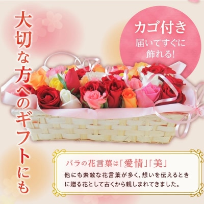 〈日付指定も可能〉ローズインにゅーよーくミックス50輪 バラ50輪詰め合わせ　お花　H193-022
