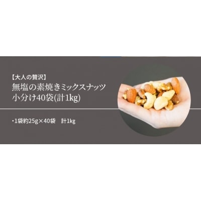 【選べる発送月:1月】無塩の素焼きミックスナッツ　小分け40袋(計1kg)　H059-145_Jan