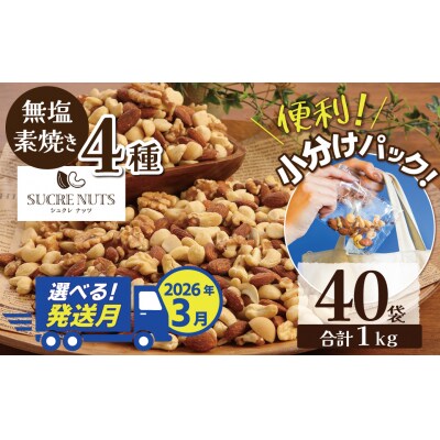 【選べる発送月:3月】無塩の素焼きミックスナッツ　小分け40袋(計1kg)　H059-145_Mar