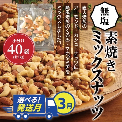 【選べる発送月:3月】無塩の素焼きミックスナッツ　小分け40袋(計1kg)　H059-145_Mar