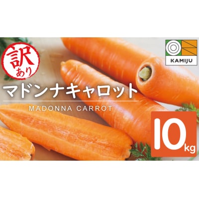【期間限定】訳あり!こどもも食べられる甘み!「マドンナキャロット」 10kg 甘い H105-147