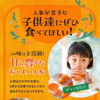 【期間限定】訳あり!こどもも食べられる甘み!「マドンナキャロット」 10kg 甘い H105-200
