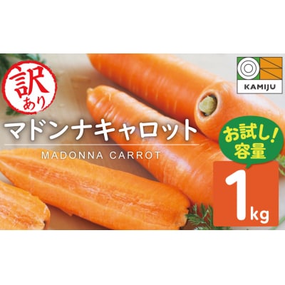 【期間・数量限定】(お試し)訳あり!こどもも食べられる甘みマドンナキャロット1kg H105-175