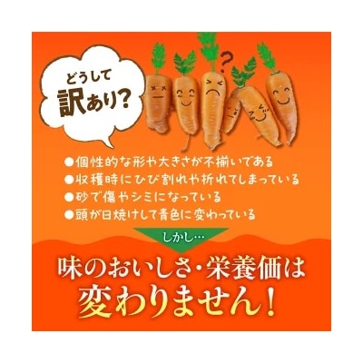 【期間・数量限定】(お試し)訳あり!こどもも食べられる甘みマドンナキャロット1kg H105-175