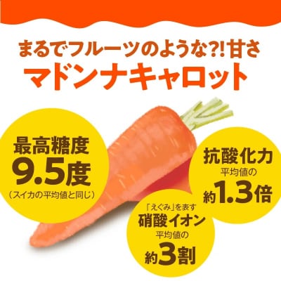 【期間・数量限定】(お試し)訳あり!こどもも食べられる甘みマドンナキャロット1kg H105-175